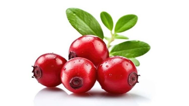 Ranberry Dondurma